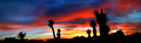 Featured Photos & Videos