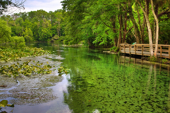 Ready to be Explored - Headwaters of the Wekiwa River