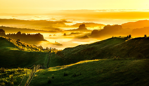 New Zealand Foggy Sunrise