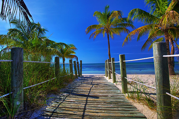 Path to Paradise