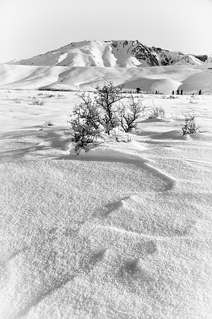 Winter Beauty in the High Sierra