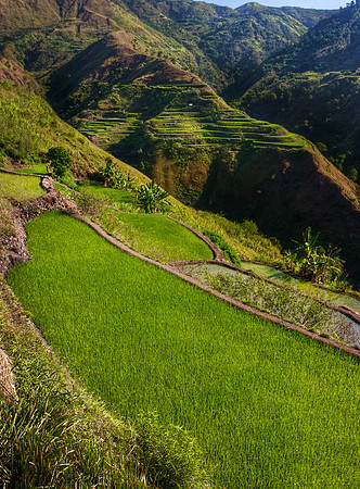 Buscalan Rice Terraces - Kalinga, Luzon, Philippines