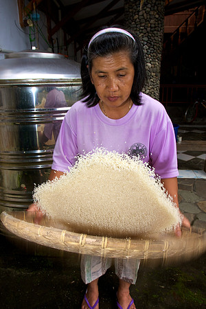 Winnowing Rice by Hand - Rice Preparation in Indonesia