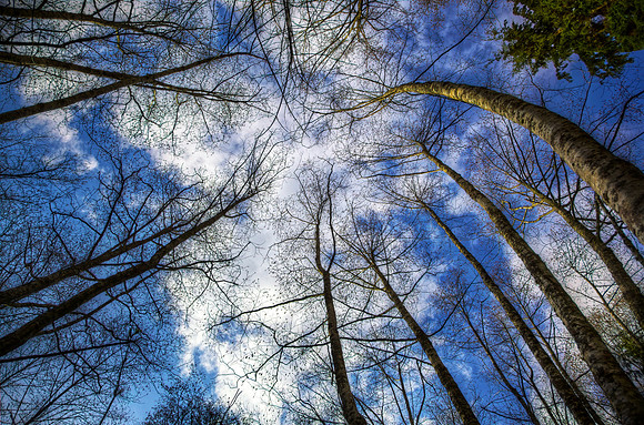 Reaching for the Sky