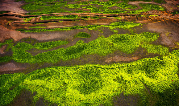 Green Mystery