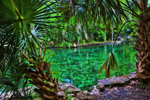 Wekiwa Springs