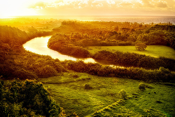 Wailua River Golden Sunrise - Kauai