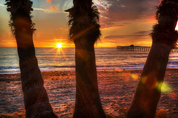 The Final Moment - San Clemente Palms at Sunset